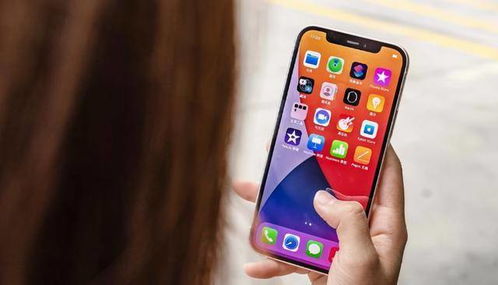 iPhone导出照片的详细指南，iPhone照片高效导出秘籍，轻松操作，快速分享！