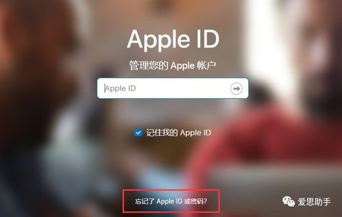 iPhone输入密码，便捷与安全的双重体验，iPhone密码输入，便捷与安全的双重保障