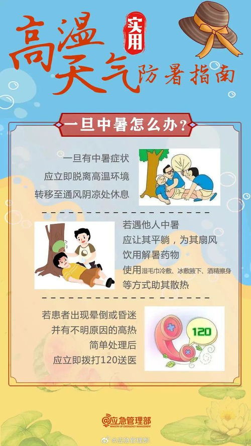 iPhone被晒，夏日炎热的考验，iPhone夏日防暑，应对高温挑战