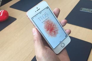 iPhone美版与日版的比较分析，iPhone美版与日版的差异对比