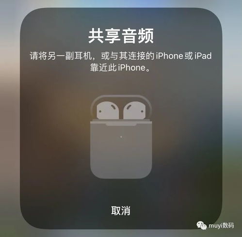 屏幕共享 iPhone 操作指南，iPhone屏幕共享操作指南