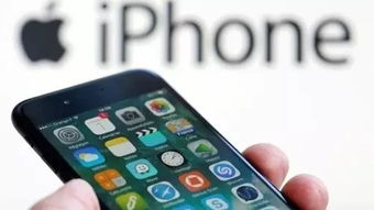 iPhone视角下的科技与生活，iPhone科技革新，引领生活新篇章