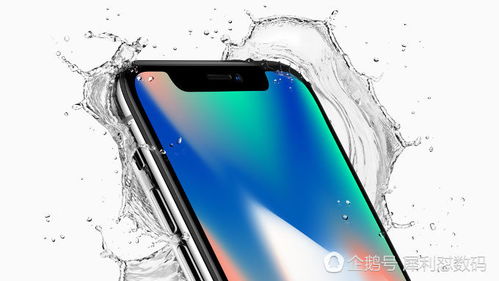 黑金iPhone，奢华与性能的完美结合，黑金iPhone，奢华与性能的极致融合