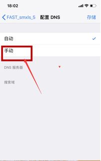 如何设置iPhone的DNS，设置iPhone的DNS方法