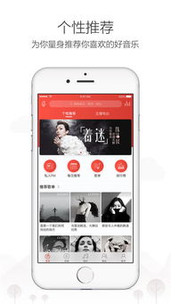 iPhone与网易云音乐，音乐的奇妙交融，iPhone与网易云音乐，无缝融合，音乐的无限可能