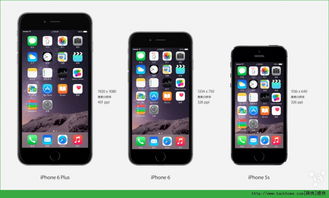 iPhone放RMVB，轻松享受高清视频体验，iPhone轻松播放RMVB高清视频