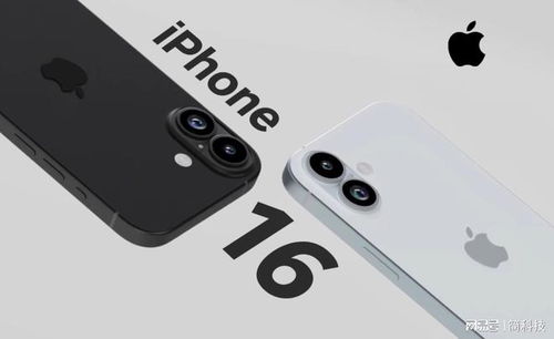iPhone音量键拍照功能详解，iPhone音量键拍照功能揭秘