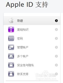 iPhone基础教程，iPhone基础入门教程