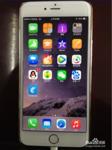 iPhone短信未送达问题解析，iPhone短信未送达问题解析，原因、解决方案与应对策略