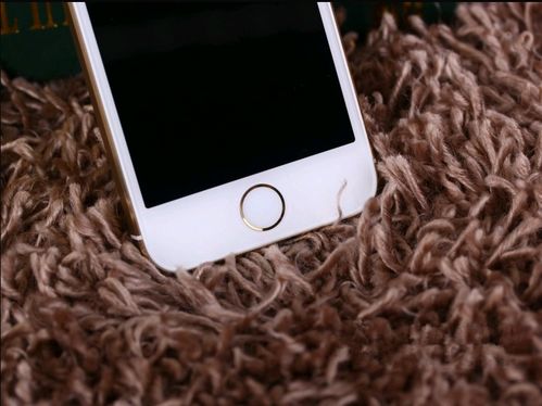 iPhone手势插件，解锁新功能与便捷体验，iPhone手势插件，解锁全新功能与便捷体验