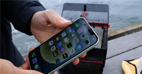 iPhone入水，如何应对与处理，iPhone防水处理技巧
