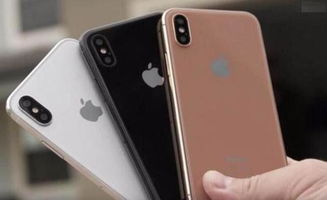 请解锁iPhone，探索其无尽魅力，iPhone解锁，探索无尽魅力
