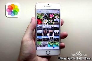 iPhone相册照片删除方法，iPhone相册照片删除技巧