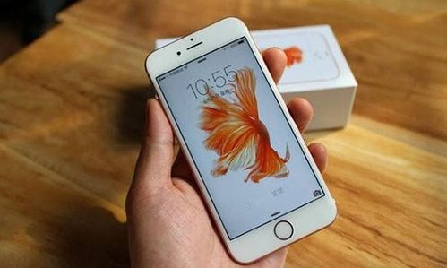 日版iPhone彩信体验，日版iPhone彩信体验，畅享高效传输