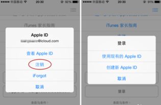iPhone ID注册无法解决的问题，iPhone ID注册遇到难题解决方案