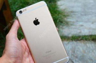 iPhone 6材料概述，iPhone 6材料概览