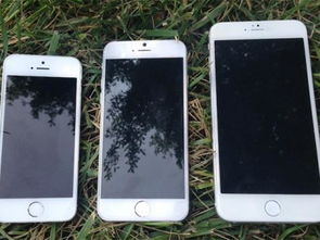 iPhone6传照片，轻松分享美好瞬间，iPhone6轻松分享美好瞬间，高效传输照片