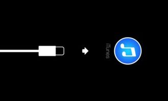 iPhone5解锁密码，轻松掌握，解锁iPhone5密码，轻松掌握新技能