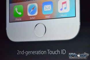 iPhone安全退出指南，iPhone安全退出操作指南