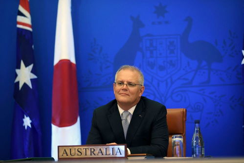 外交部回应中阿签署互免签证协定