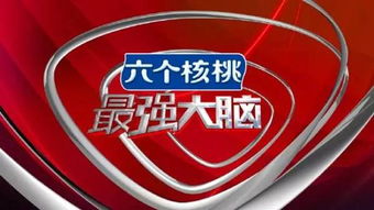 江苏台报道野猪冲进江苏电视台