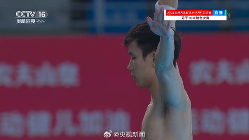 程子龙朱子锋跳水世界杯夺得冠军