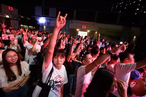 演员扎堆音乐节是流量自嗨吗