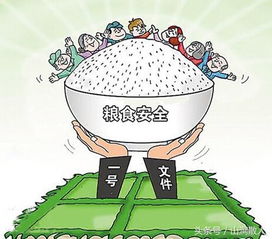 面临严重粮食不安全人口超2.95亿