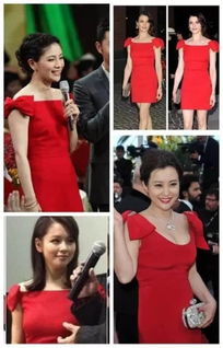 雅安纪委监委回应女星百万耳环事件
