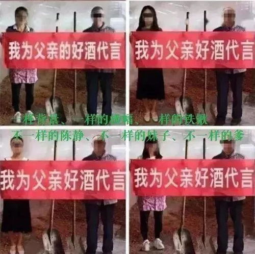 黄杨钿甜父亲涉违规经商办企业