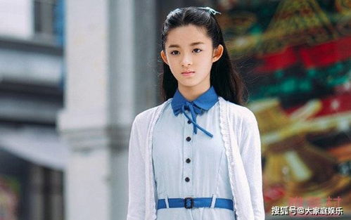 黄杨钿甜父亲将面临什么处罚