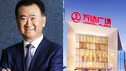 王健林已被冻结4.9亿股权