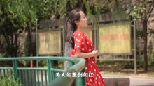 《情深深雨濛濛》一大家子都挺忙