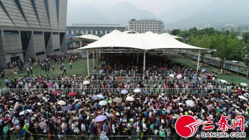 端午节假期国内出游1.19亿人次