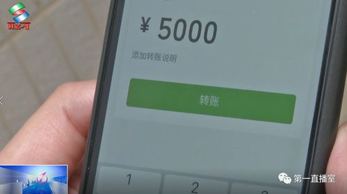 罗帅宇坠楼后手机拨打110为民警拨出(罗帅磊个人资料)