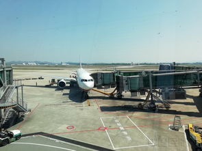 上海航空一航班飞行中有充电宝冒烟(航班飞行途中充电宝爆炸起火)