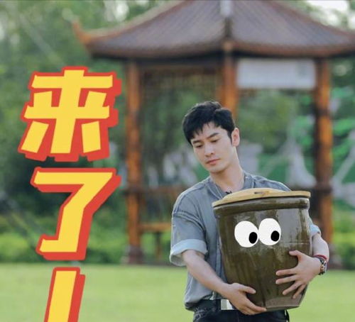苏超散装与整装不止于玩梗