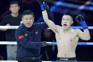武林风城市对抗赛上演高手对决(武林风比赛地点在哪)